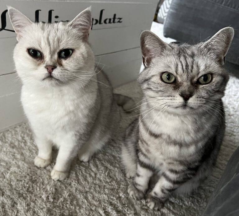 p_2837_2838_Sunny_Uma 1