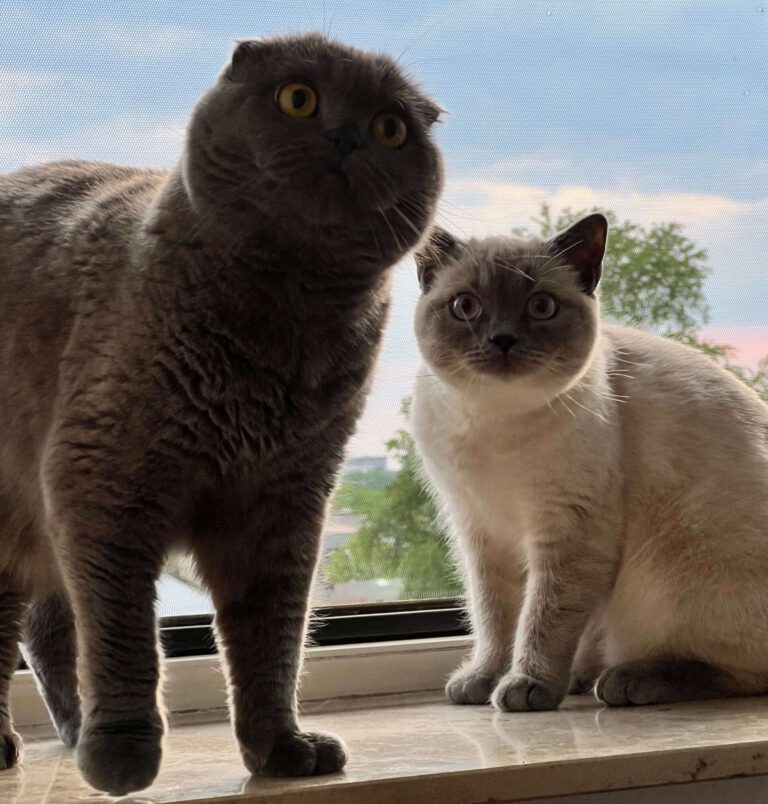 p_2843_2844_Kalle_Ursel