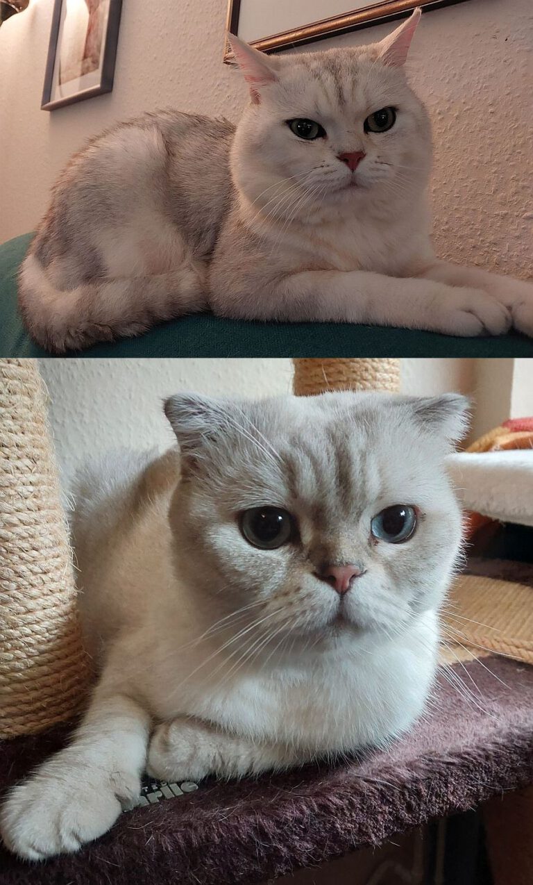 v_2959_2960_Eddy_Sultan 1a