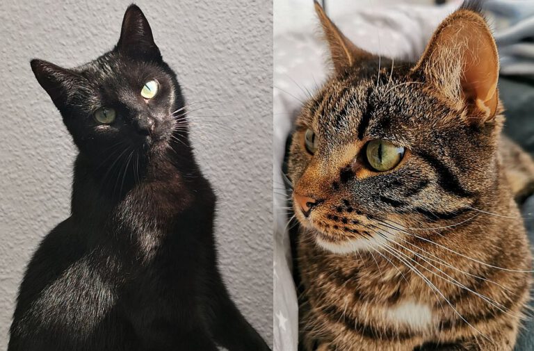 p_3014_3015_Lilly_Mia 1