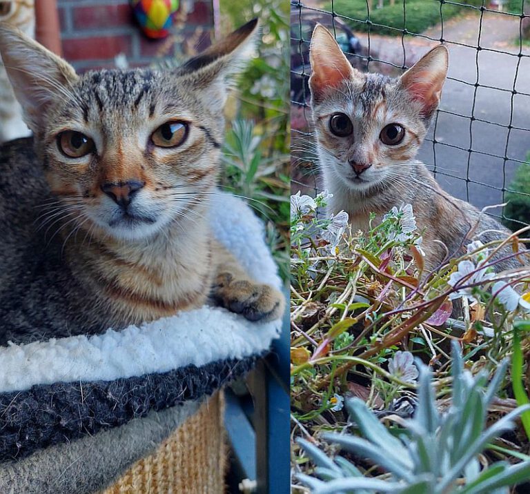 v_3012_3013_Emma_Eddy 1